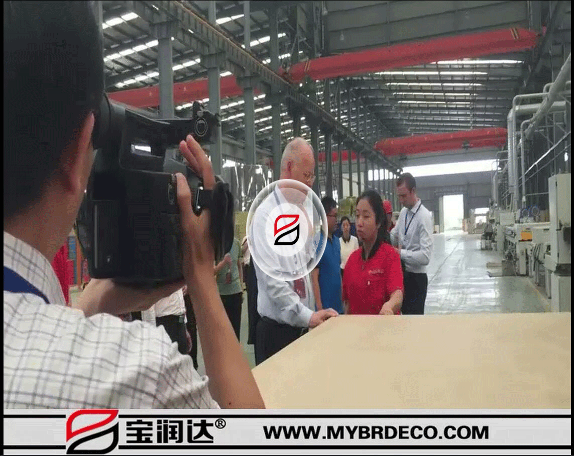 德國前國防部長魯?shù)婪?沙爾平及市長一行參觀考察寶潤達